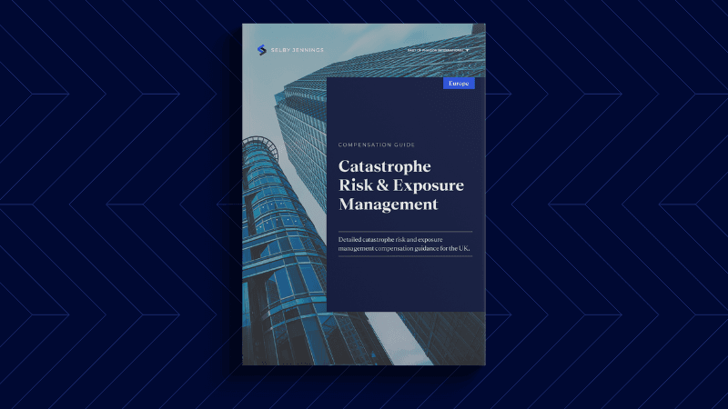 Catastrophe Risk Comp Guide Website Blog Image